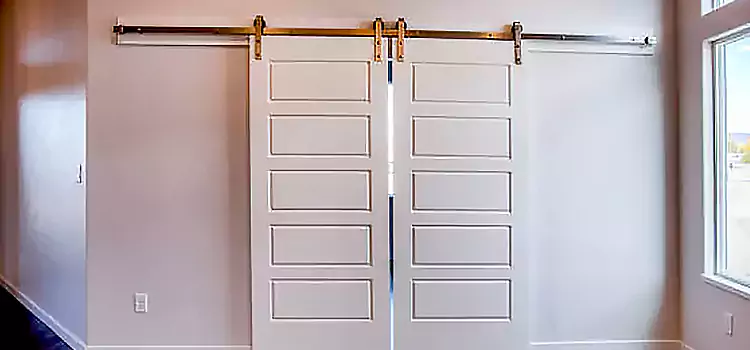 Glass Barn Door with Installation Hardware Kit Gretna
